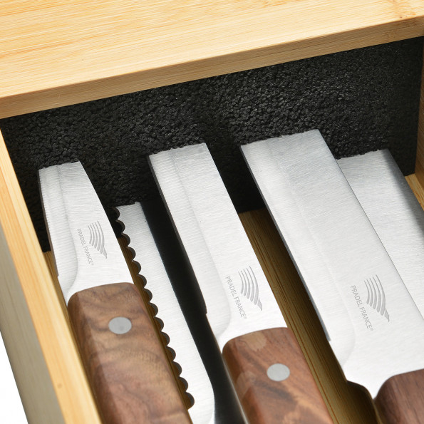 Set de 5 couteaux +  range-couteaux pour tiroir