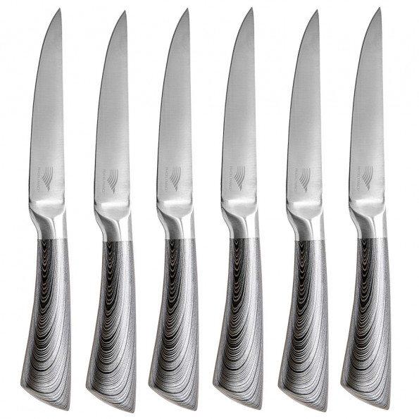 Set de 6 couteaux à steak design