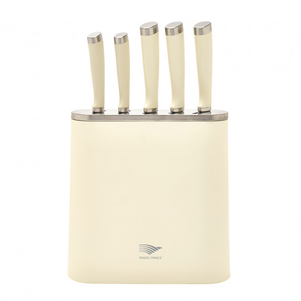 Bloc 5 couteaux vintage