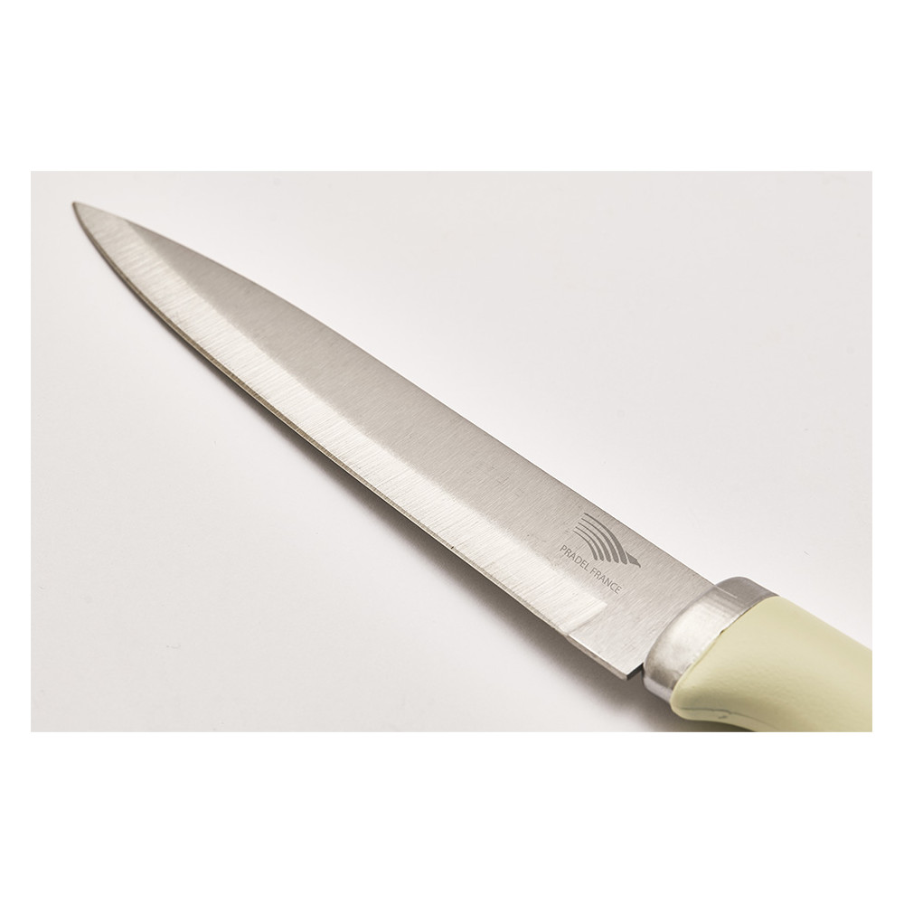 Bloc 5 couteaux vintage