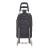 Chariot de courses avec 2 sacs interchangeables Chariot de courses avec 2 sacs interchangeables