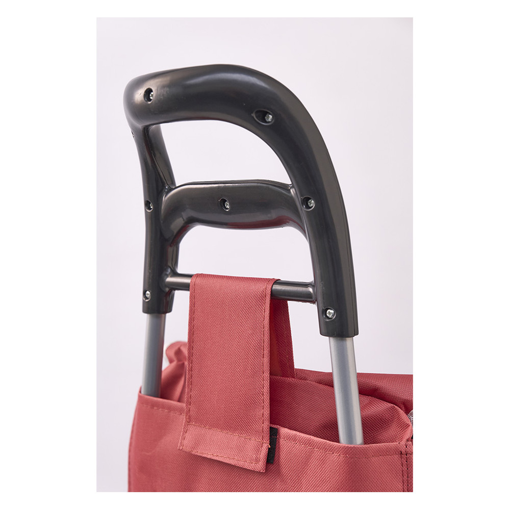 Chariot de courses avec 2 sacs interchangeables