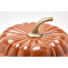 Cocotte citrouille