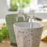 Lot de 2 cuillères chat