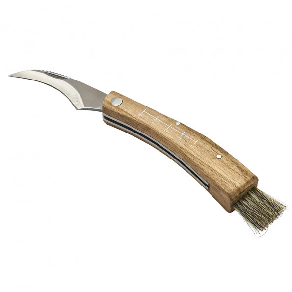 Couteau à champignon